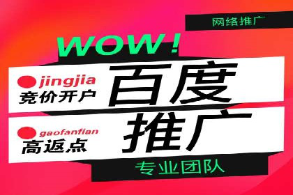 百度推广代运营案例：案例解析：如何实现快速转化